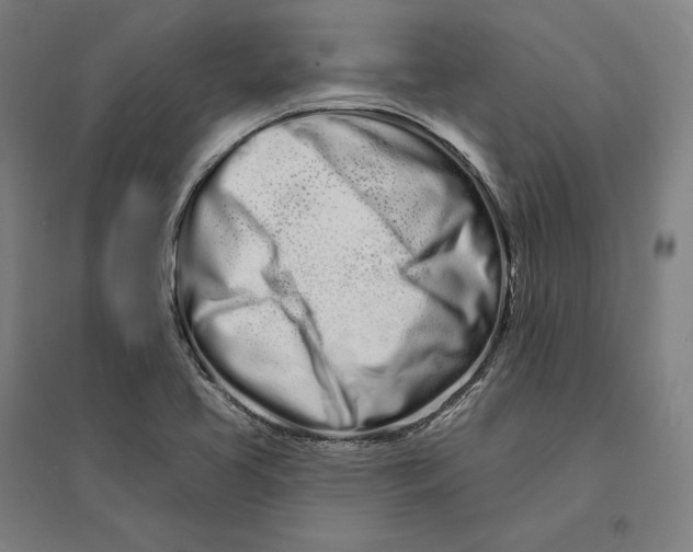 X0000095131413200712301814