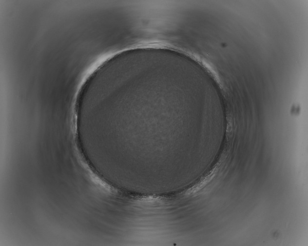 X0000095131414200712301814