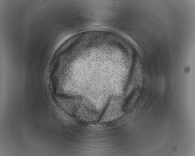 X0000095131415200712301814