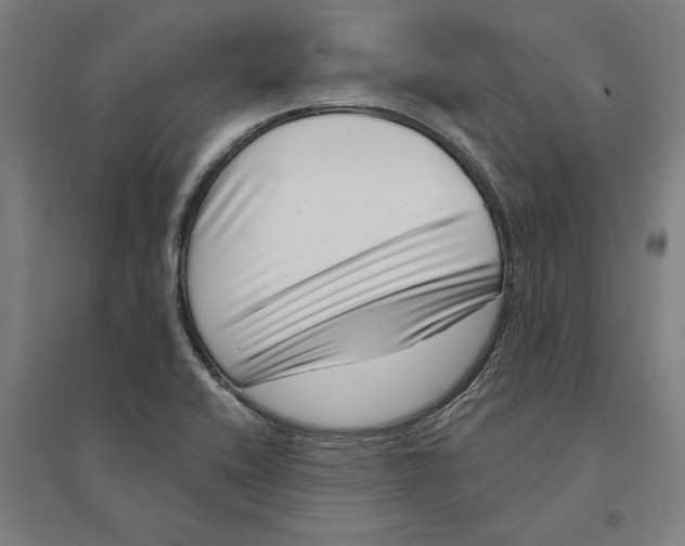 X0000095131416200712301814