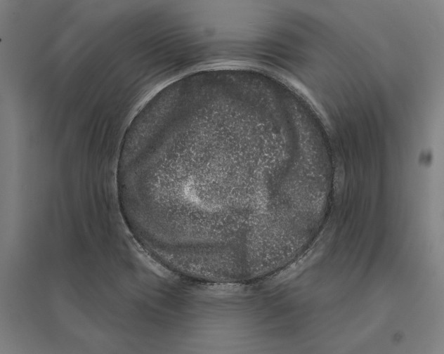 X0000095131417200712301814