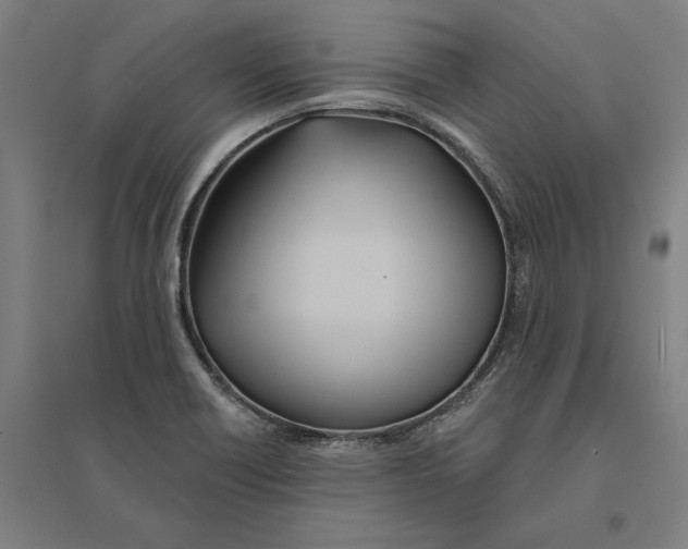 X0000095131418200712301814