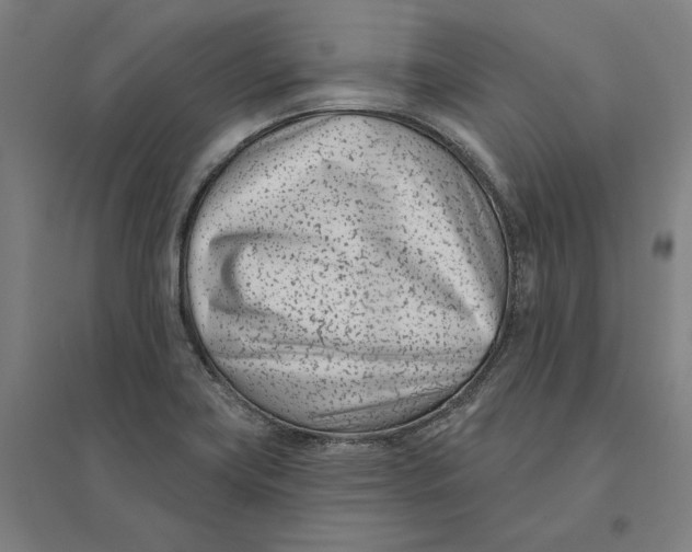 X0000095131419200712301814