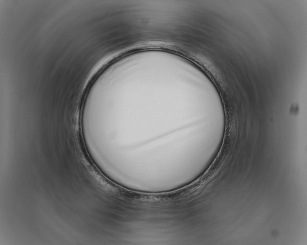 X0000095131420200712301814