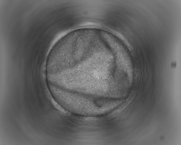 X0000095131421200712301814