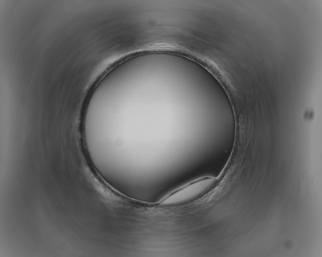 X0000095131422200712301814