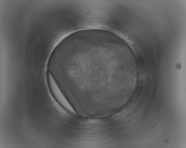 X0000095131423200712301814