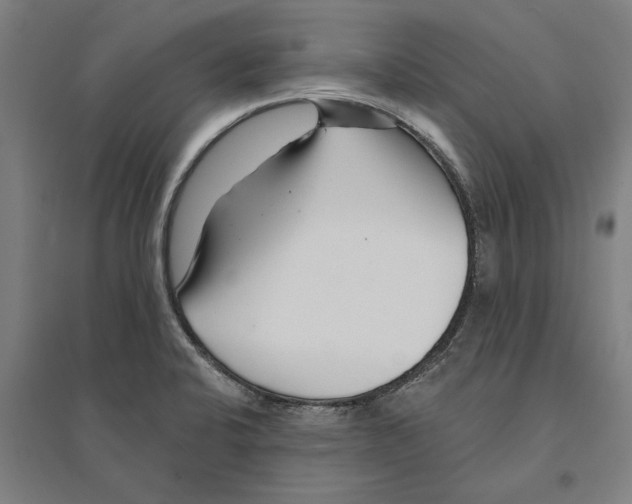 X0000095131424200712301814