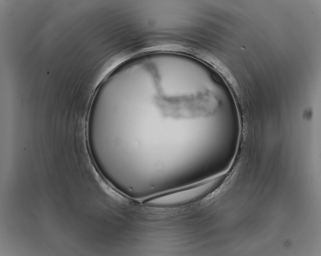 X0000095131425200712301814