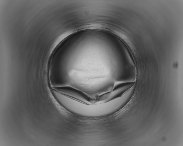 X0000095131426200712301814