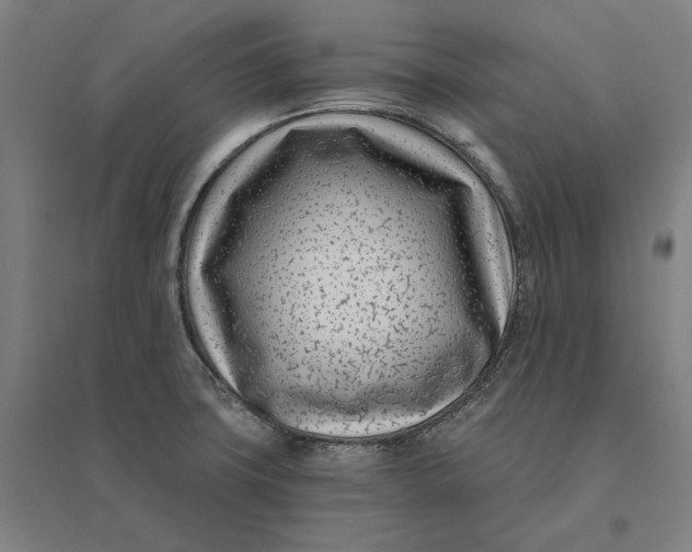 X0000095131427200712301814