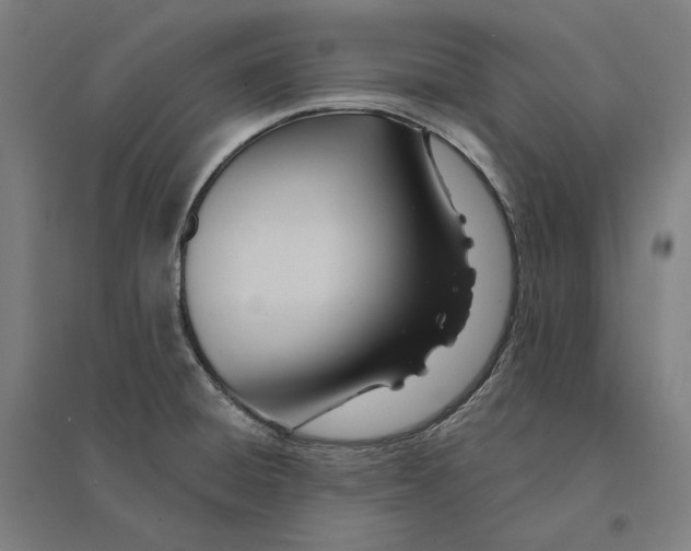 X0000095131428200712301814