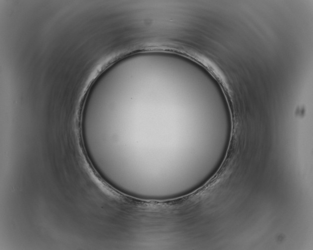 X0000095131429200712301814