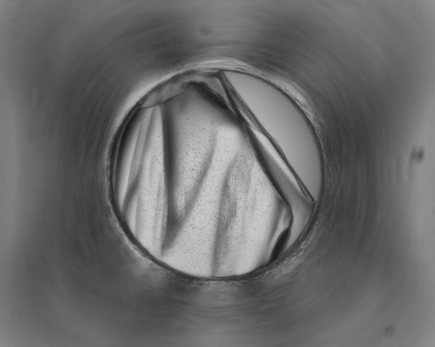 X0000095131430200712301814