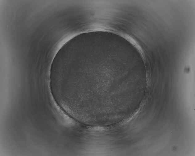 X0000095131431200712301814