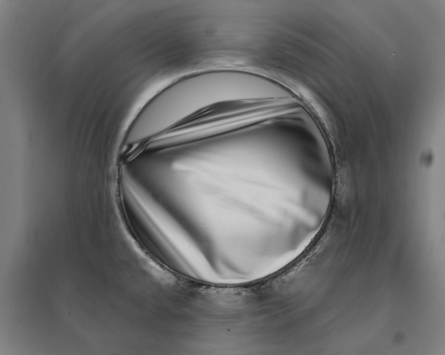 X0000095131432200712301814