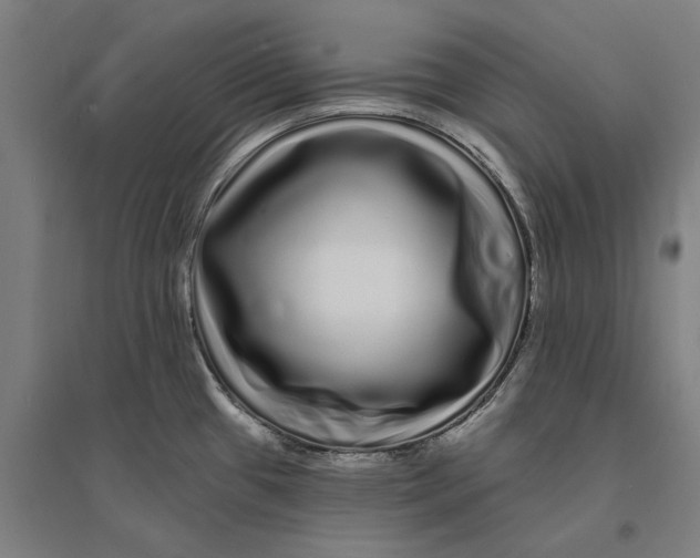 X0000095131433200712301814