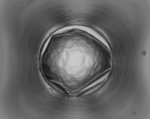 X0000095131434200712301814