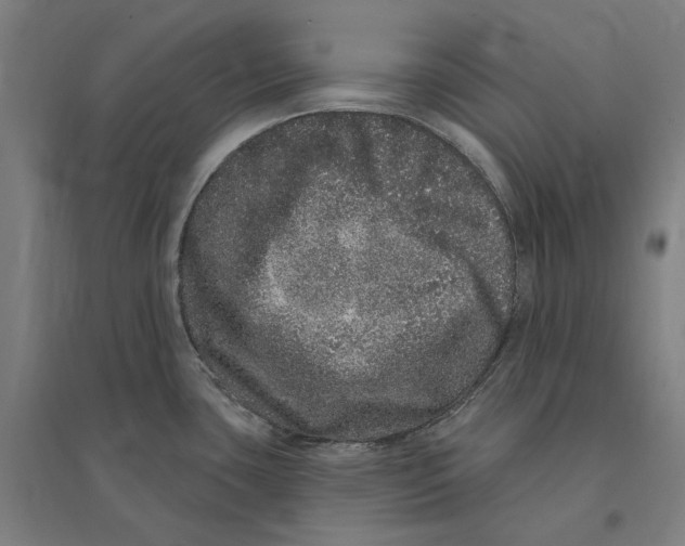 X0000095131435200712301814