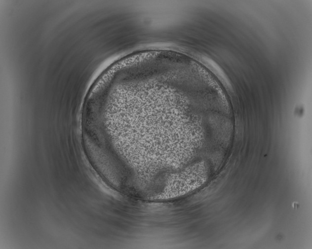 X0000095131436200712301814