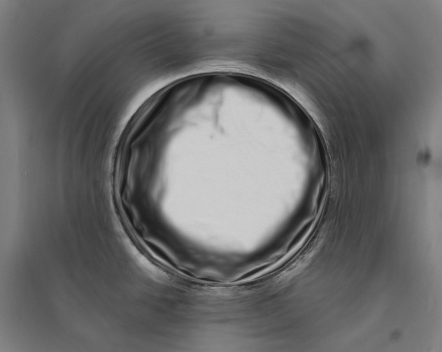 X0000095131438200712301814