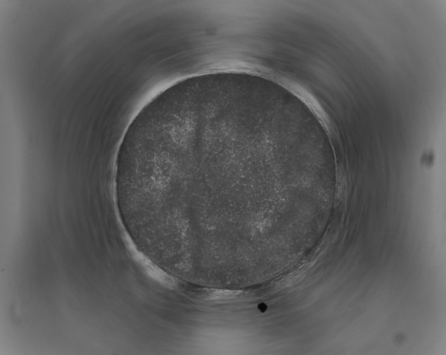 X0000095131439200712301814