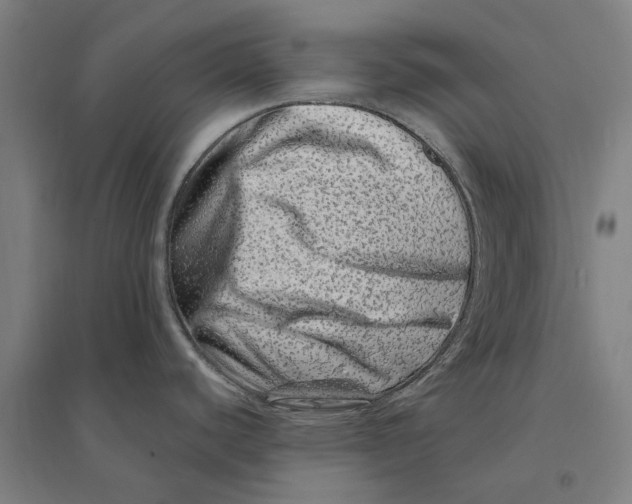 X0000095131440200712301814