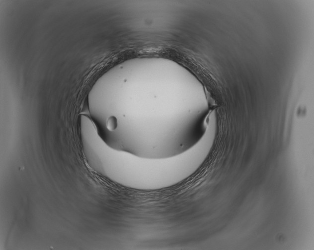 X0000095131441200712301813