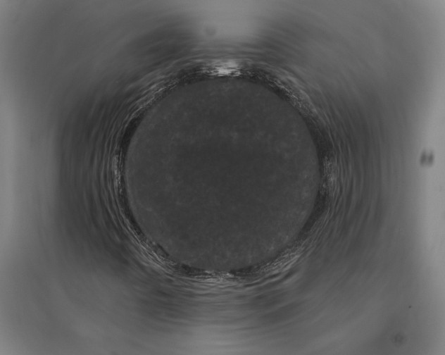 X0000095131442200712301813