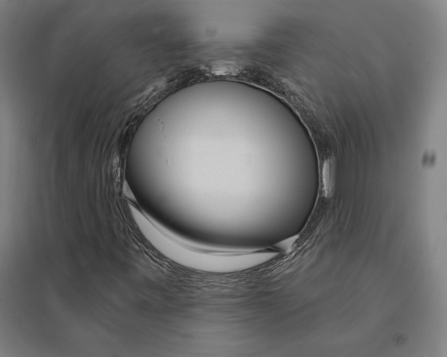 X0000095131443200712301813