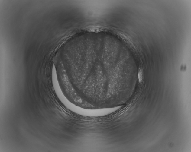 X0000095131444200712301813