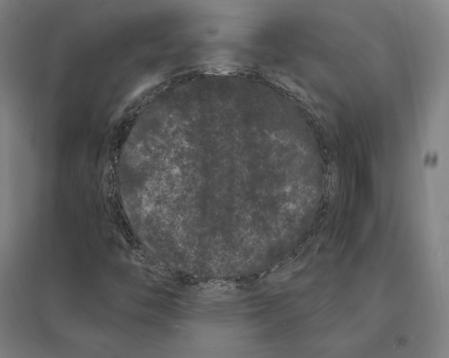 X0000095131446200712301813