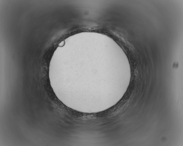 X0000095131447200712301813