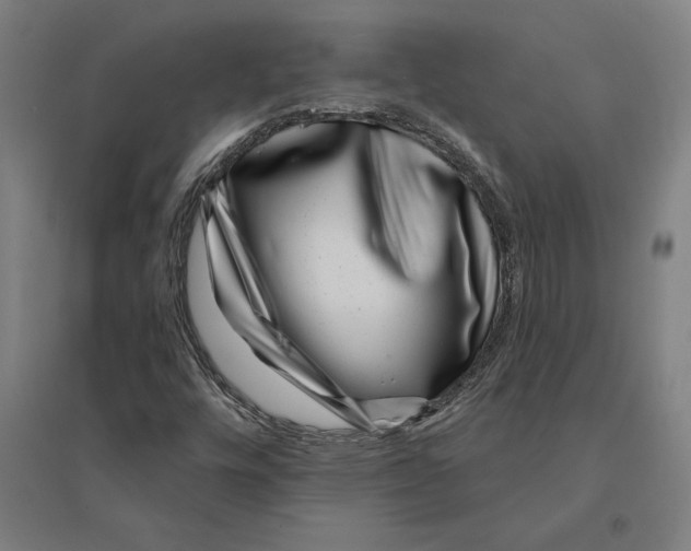 X0000095131448200712301813