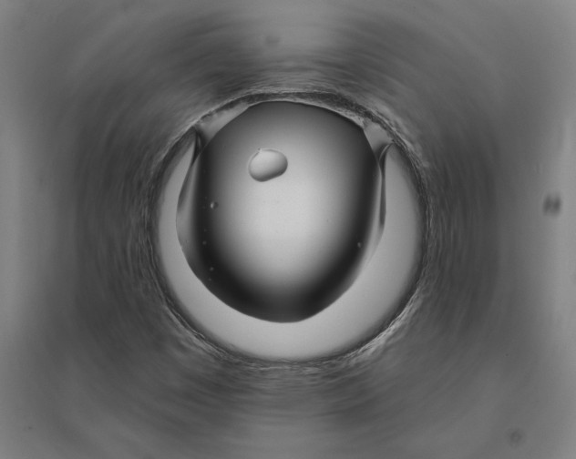 X0000095131449200712301813