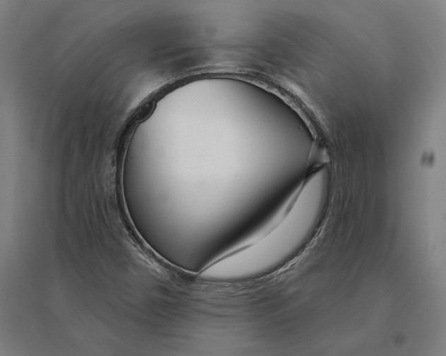 X0000095131450200712301813