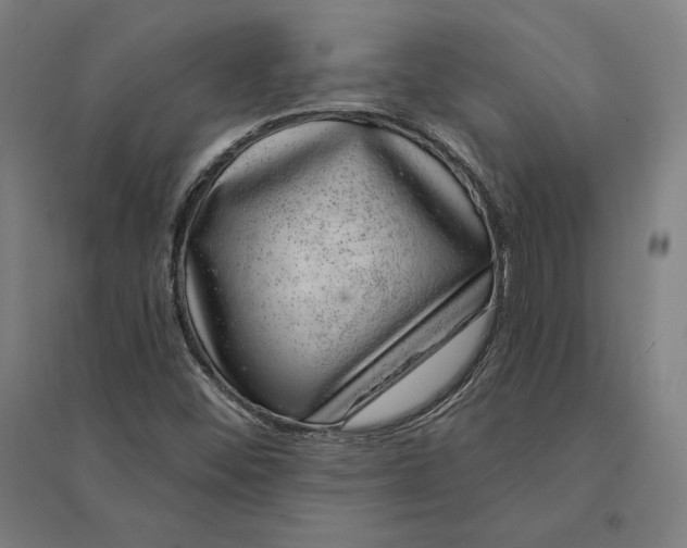 X0000095131452200712301813