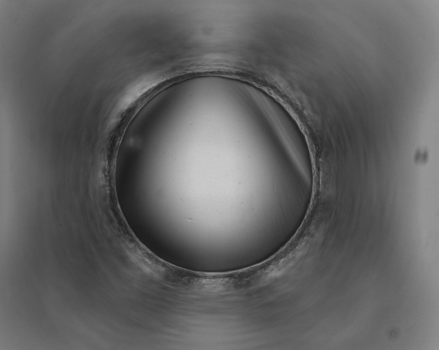 X0000095131453200712301813