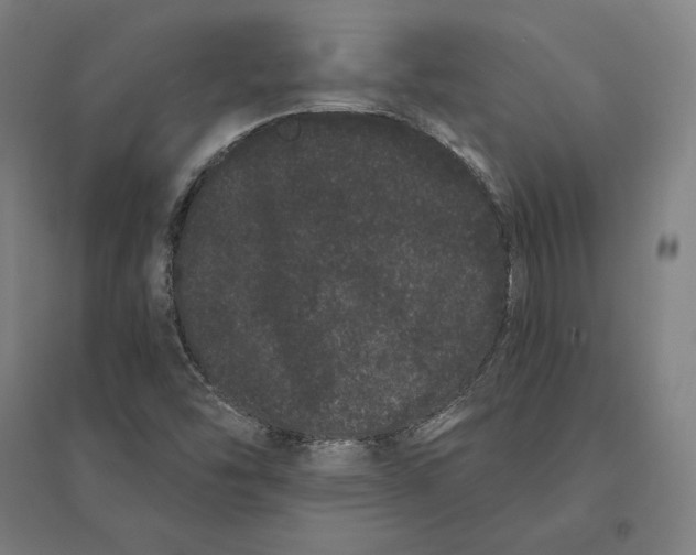 X0000095131454200712301813