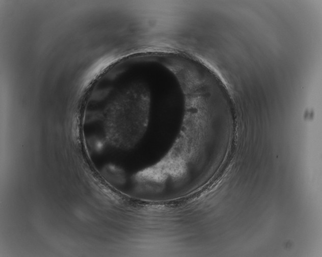 X0000095131455200712301813