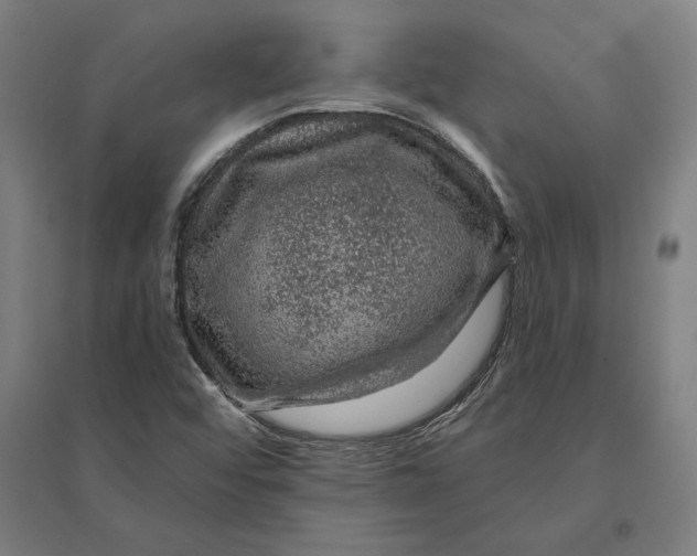 X0000095131456200712301813