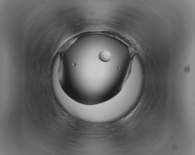 X0000095131457200712301813