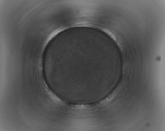 X0000095131458200712301813