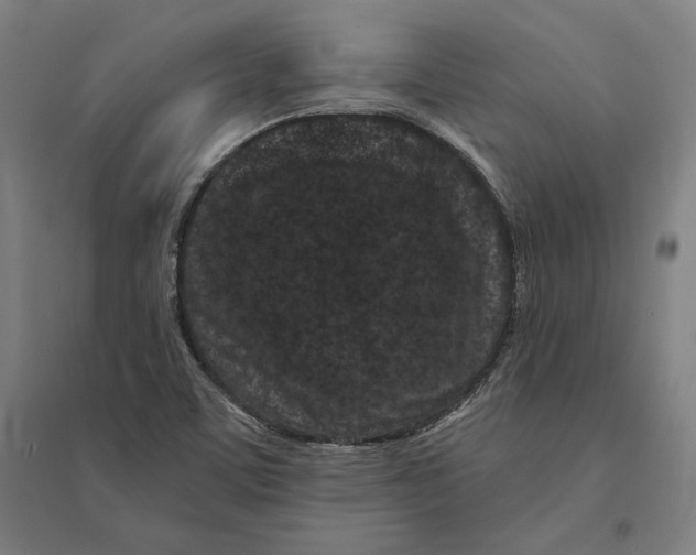 X0000095131459200712301813