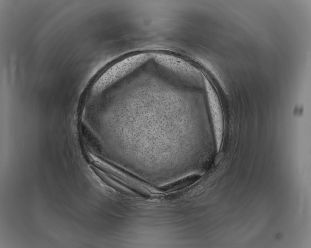 X0000095131460200712301813