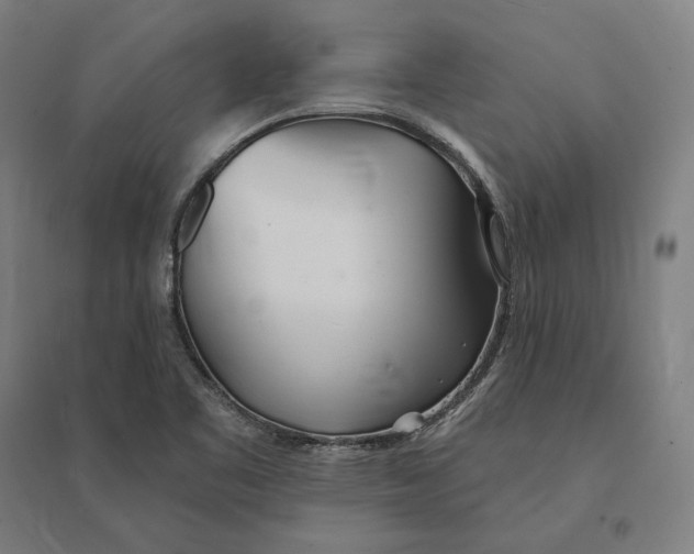 X0000095131461200712301813