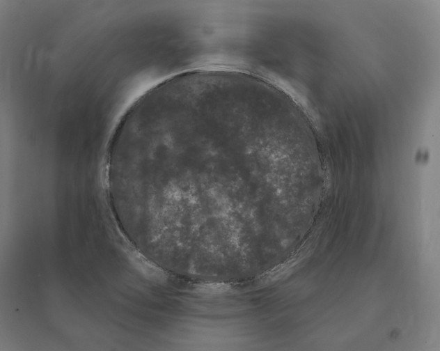 X0000095131462200712301813