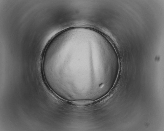 X0000095131463200712301813