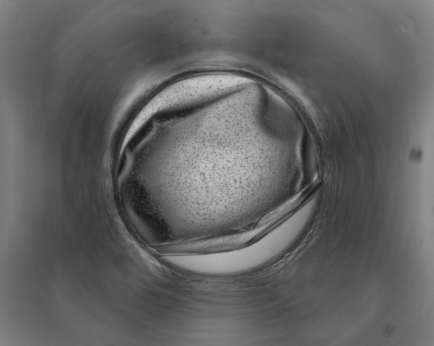 X0000095131464200712301813