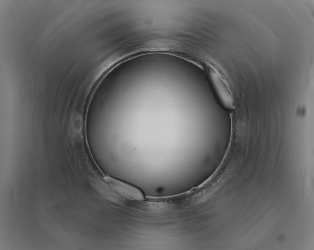 X0000095131465200712301813